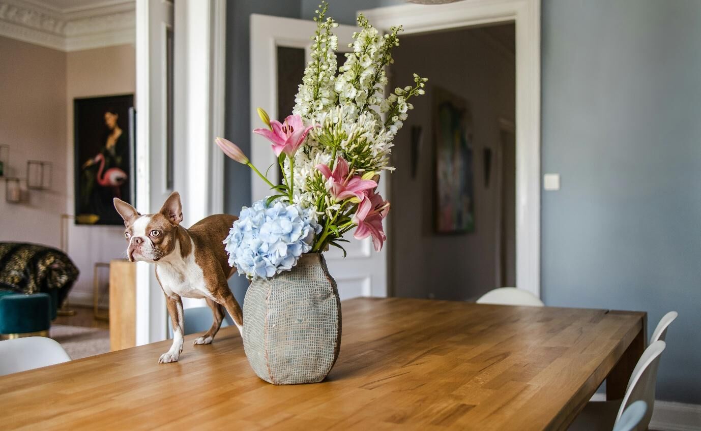 Bringing Occasions to Life: Creative Ways to Decorate Your Home with Flowers for Events